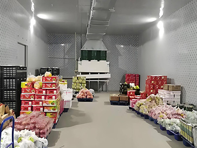 Fruits & Vegetables