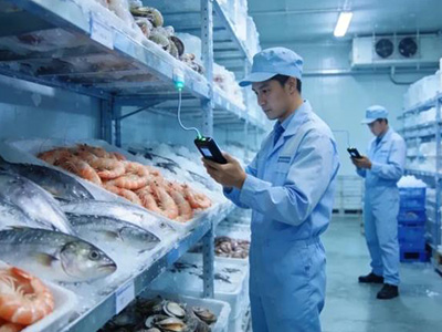 Seafood Processing